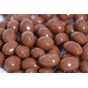 Smarty Stop Chocolate Covered Peanuts (1 Pound (Pack of 1),