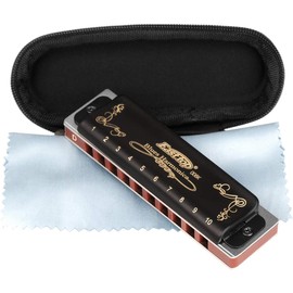 Easttop Professional Harmonica Blues Key of D 10 Hole 20 Tone Heavy Duty with Case & Cleaning Cloth for Professional Player,Beginner,Students,by Eison-East Top,Black,Great Christmas Gift