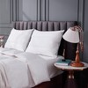 ROSE FEATHER Goose Down Feather Pillows Queen Size Set of