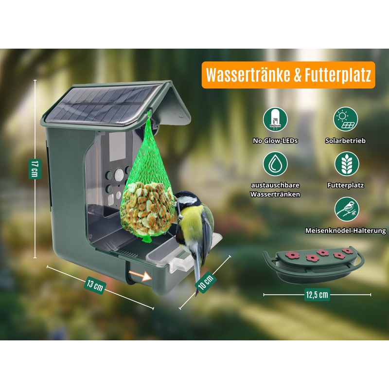Berger & Schröter Bird Feeder with 1080P Camera, Solar Water