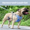 Dog Harness with Leash Set, No-Pull Pet Harness with 1
