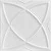 A La Maison Ceilings r13-8pw Elliptical Illusion Ceiling Tile, Plain