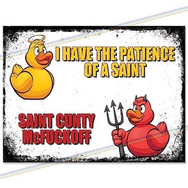 Patience of A Saint Funny Metal Bar Sign Accessories for Home Pub or Outdoor Garden Wall Plaque Man Cave Gift Memorabilia Retro Vintage 20cm x 15cm