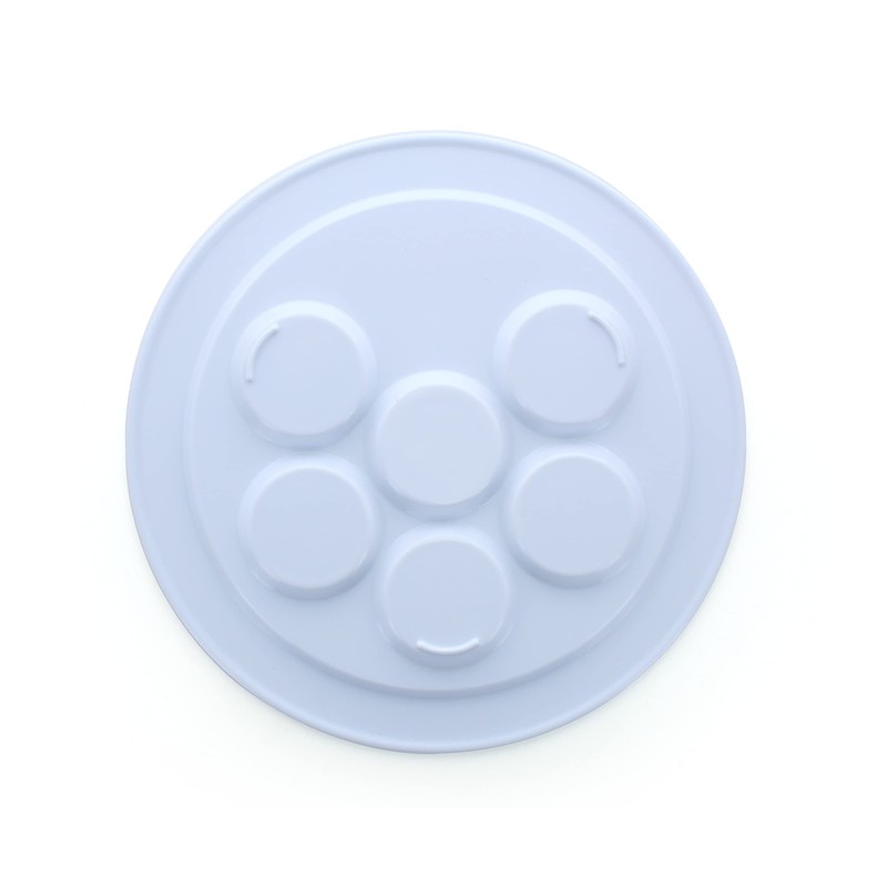 Seder Melamine Plate for Children Passover