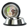 Fancy Pets Plato de Acero Inoxidable para Perro con 8
