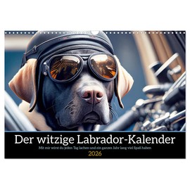 Der witzige Labrador-Kalender (Wandkalender 2026 DIN A3 quer), CALVENDO Monatskalender: Mit mir wird der Labrador Besitzer jeden Tag lachen und ein ganzes Jahr lang viel Spaß haben (CALVENDO Tiere)