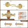 Moquin 5 Pack Wholesale Polished Brass Door Lever, Wave Design