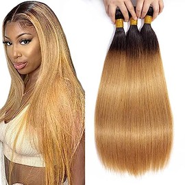 AiPliantfis Straight Wave Human Hair Bundles Blonde Extensions Real Hair Brazilian Remy Hair Double Weft 1B27 Ombre Real Hair Wefts Brazilian Hair Bundles 100 g/PC 300 g Total 16 18 20