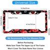 Anime License Plate Frame 12.2x6.3inch 2Pcs Set Cartoon License Plate