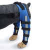 Dog Hind Leg Brace Breathable Elastic Shockproof Dog Leg Protector