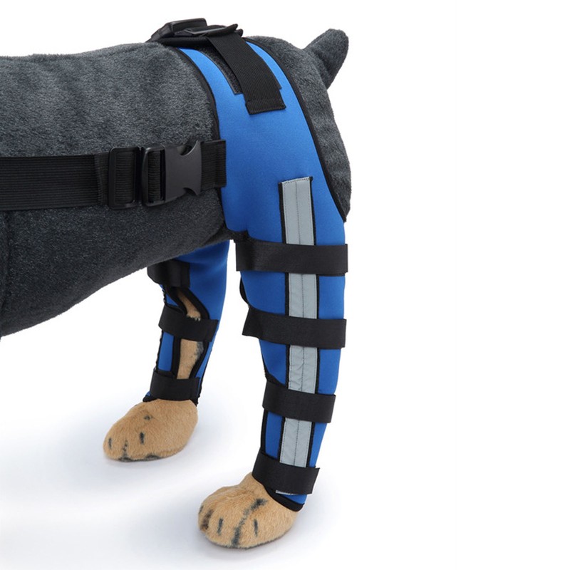 Dog Hind Leg Brace Breathable Elastic Shockproof Dog Leg Protector