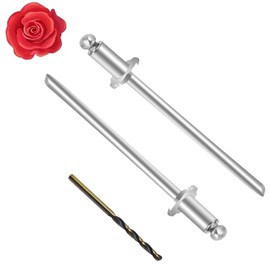 2Pcs Rosette Rivets Stainless Steel Fits for Ford Chrysler AMC VIN Door TAG,VIN Door Tag with GM AMC Cars (2)