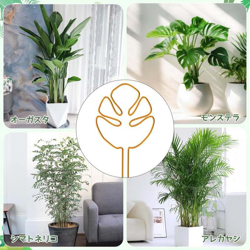 Neiang Monstera Support Stake 1 Piece Potted Plant Support Monstera