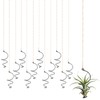 Xelsluthe 12 Pcs Air Plants Live Holders with Jute Ropes,