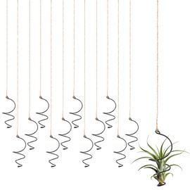 Xelsluthe 12 Pcs Air Plants Live Holders with Jute Ropes, Soilless Air Plant Hanger Hanging Plant Holder Succulent Hanging Display