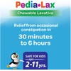 Pedia-Lax Laxative Chewable Tablets for Kids, Ages 2-11, Watermelon Flavor,