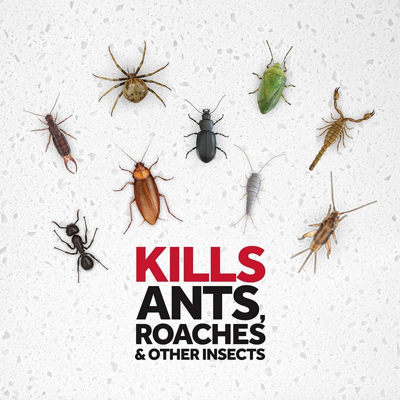 Raid Ant and Roach Kills on Contact No Lingering Chemical