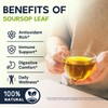 Soursop Leaf Herbal Tea (Graviola) - Caffeine & Sugar Free,