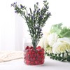 DomeStar 1LB Glass Marbles Bulk, Marbles for Vases 0.63 Inch