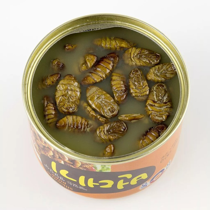 Yoo Dong Silkworm Pupa Canned Snack 130g (Expiration Oct 2026)