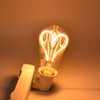 Light Bulb Love Peach Heart Shaped Transparent LED Filament Lamp