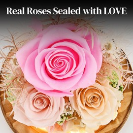 Valentines Day Roses Gifts for Her, Women, Mom, Grandma, Preserved Flowers in Glass with LED Light, Forever Flowers for Delivery Prime Gifts for Birthday, Anniversary Christmas, Mothers Day (Pink)