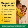Nature Made High Absorption Magnesium Glycinate Gummies 100 mg per