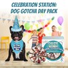 JT PET Dog Gotcha Day Party Pack with Bandana, Star