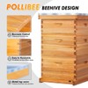 POLLIBEE 10 Frame Langstroth Beehive, Beeswax Coated Bee Hives for