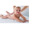 Gogo Baby Arnica Stick Pack 20g Pieza Aceites Naturales Uso