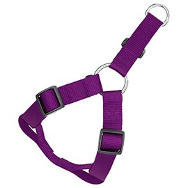 Country Brook Petz Nylon Step-in Adjustable Dog Harness - Vibrant 20+ Color Selection (Medium, 3/4 Inch Wide, Purple)