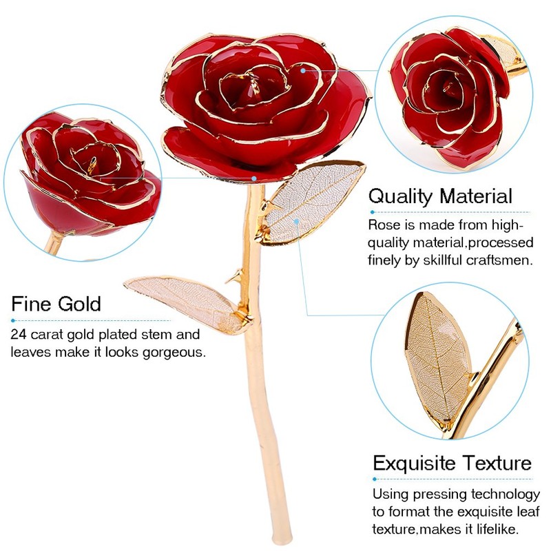Rose Dipped in 24k Gold Forever Preserved Long Stem Rose