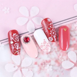 5-Piece Flower Lace Butterfly Stamping Plate Nail Stamp Nail Tool Nail Art
