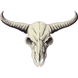 StickerTalk Buffalo Skull Vinyl Sticker, 12 inches by 9 inches