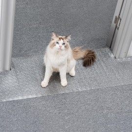 Uross Carpet Protector for Pets - Cat Carpet Protector for Doorway, Anti Scratch Under Door Cat Scratch Protector Mat, Easy to Cut Plastic Stopper Cat Scratch Guard Carpet 3.6FT-Silver