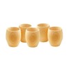 EDOYA Hinoki Wood Sake Cups (Set of 5) Made in