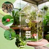 Hysagtek Jumping Spider Enclosure, Acrylic Arboreal Tarantula Enclosure Small Reptile