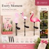 Solar Flamingo Garden Lights for Outdoor Pathway Decor – Waterproof