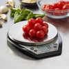 Taylor 1020NFS Compact Digital Scale, Multi-Functional Food Scale for Precise