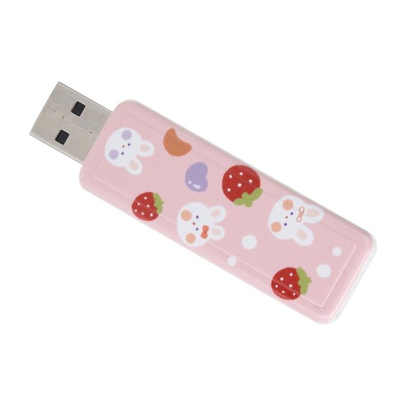 U Disk PushPull USB2.0 Memory Car Flash Drive Computer Accessories