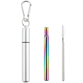 Foweroty 1 Pack Stainless Steel Straws, Reusable Straws, Travel Essentials，Metal Straws Reusable with 1 Aluminum Case, 1 Cleaning Brush, and 1 Keychains, Cruise Ship Essentials(Silver)