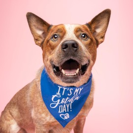 It's My Gotcha Day Dog Bandana| 100% Cotton Adjustable Triangle | Made in USA | Adoption Event Prop Photoshoot | Rescue | Green One Size (163)