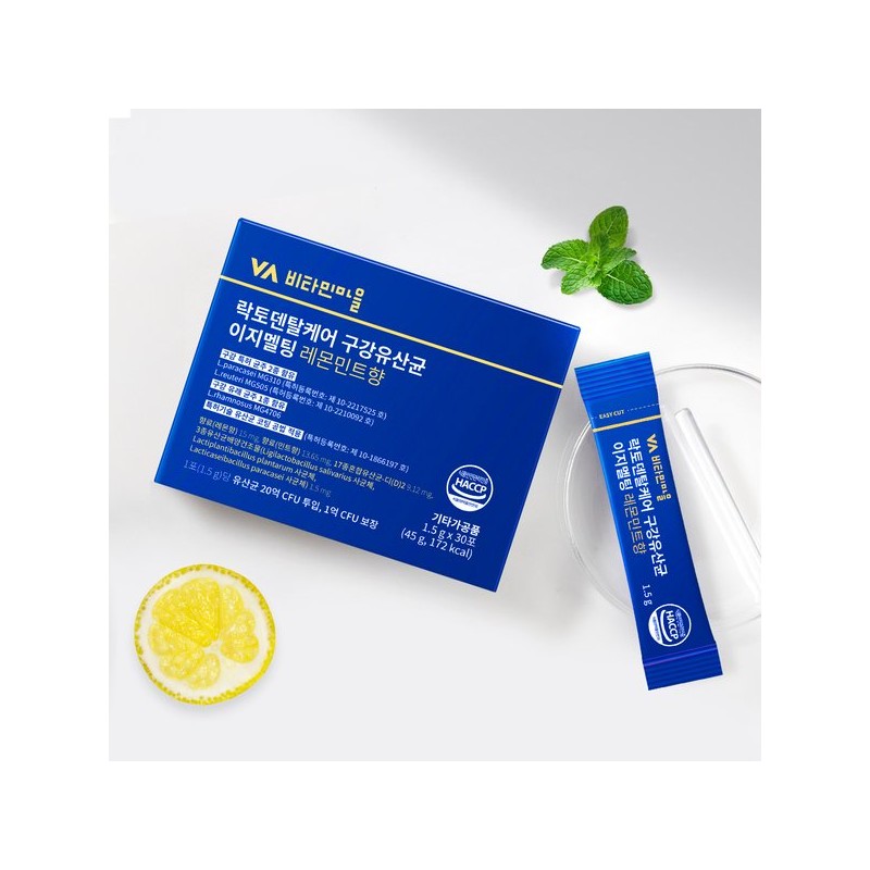 비타민마을 락토덴탈케어 구강유산균 이지멜팅 레몬민트향 1박스 30포 Vitamin Village Lactodental
