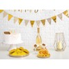 Fruidles Coins in Mesh Bags, 10 Half-Dollar Gold Coins, 18oz