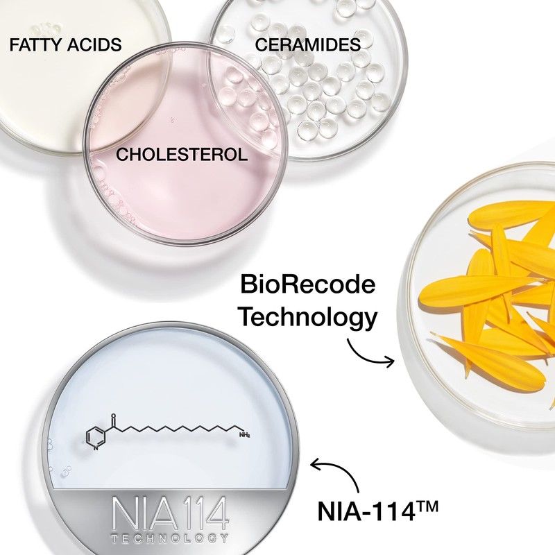 StriVectin Wrinkle Recode Moisture Rich Barrier Cream