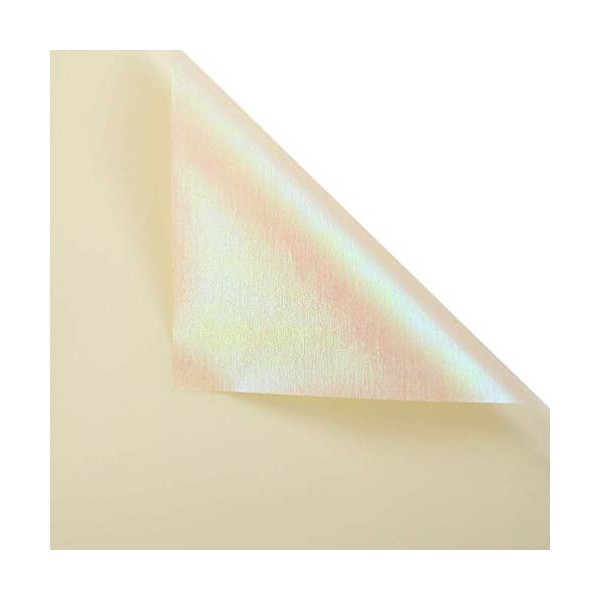 BBC Iridescent Double Sided Flower Wrapping Paper Florist Bouquet Packaging,