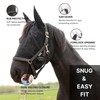 RESISTANCE Premium Horse Fly Mask with Ears - Ultimate Insect