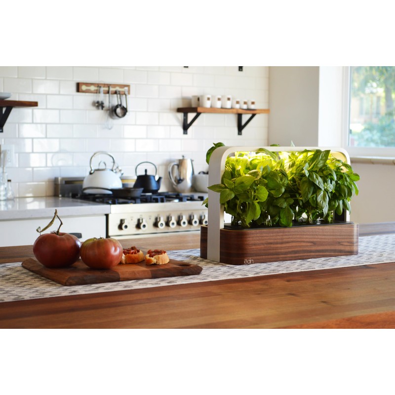 edn SmallGarden Basil SeedPods - 10 Pack