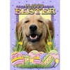 CafePress Easter Egg Cookies Golden Folded Greeting Card Glossy