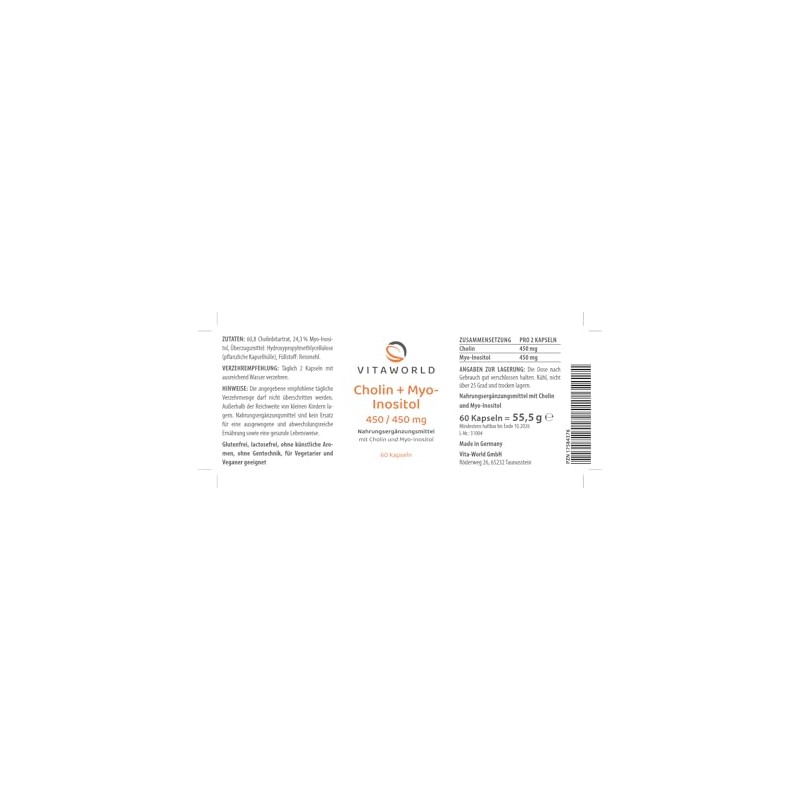 Vita World Choline 450 mg + Myo-Inositol 450 mg 60